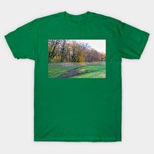 Forest with falling leaves in autumn near a pond T-Shirt